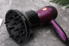 Hair dryer with hood